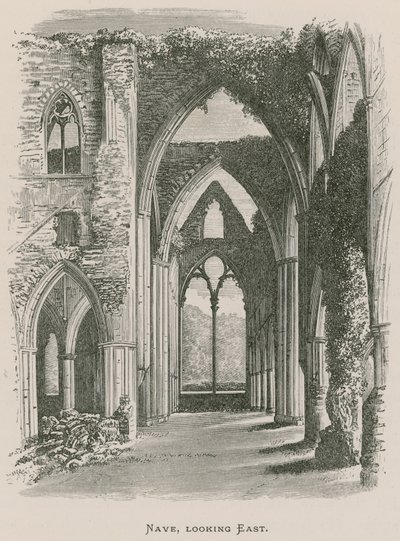 Abbaye de Tintern, nef, vue vers l